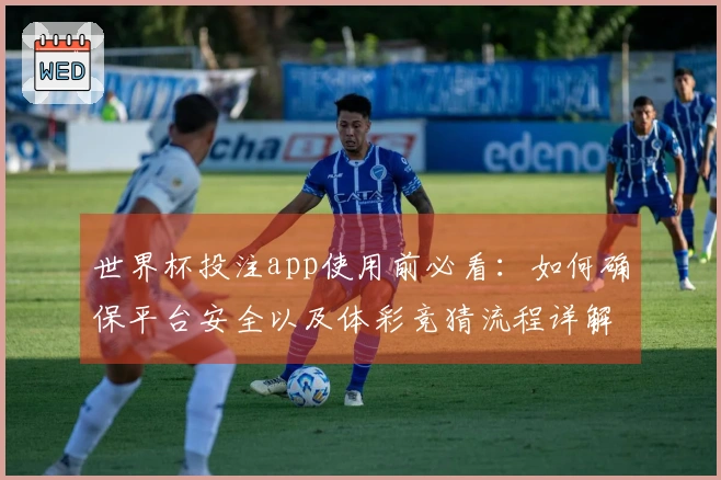世界杯投注app使用前必看：如何确保平台安全以及体彩竞猜流程详解